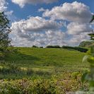 Blick 1