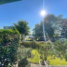 Blick aus dem Wohnzimmer