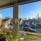 Blick Richtung Bürgerpark