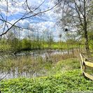 der Fischteich am Garten der Fischteich am Garten