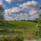 Blick 1