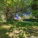 viel Grün im Garten viel Grün im Garten