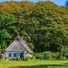 geschützt am Wald geschützt am Wald