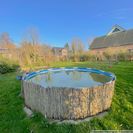 Garten im Frühling