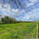 Teilansicht westliche Weiden Teilansicht westliche Weiden
