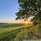 Sonnenuntergang am Grundstück 1 Sonnenuntergang am Grundstück 1