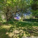 viel Grün im Garten viel Grün im Garten